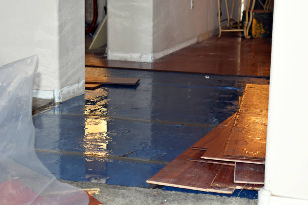 Professional Basement Water Removal technician working in Eustace, TX